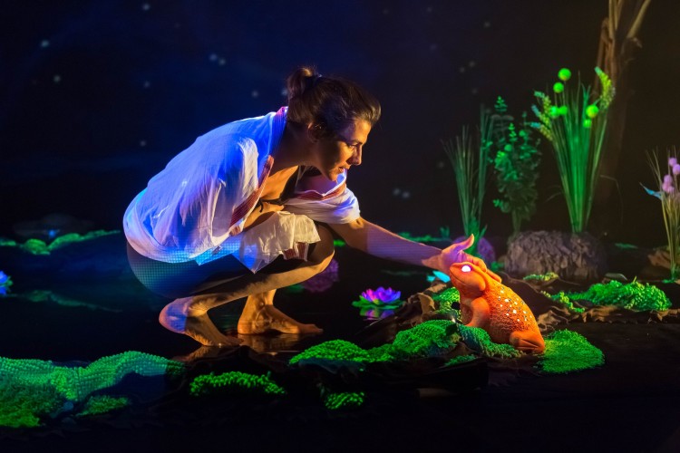 Le Crapaud au pays des trois lunes  