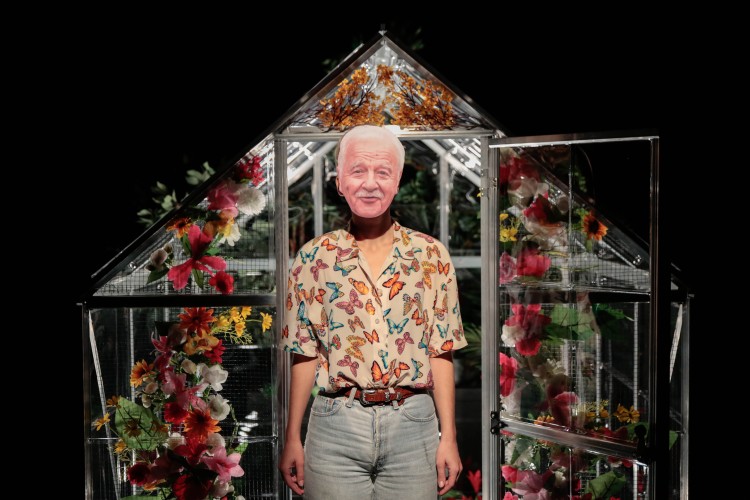 Tomber dans les arbres 