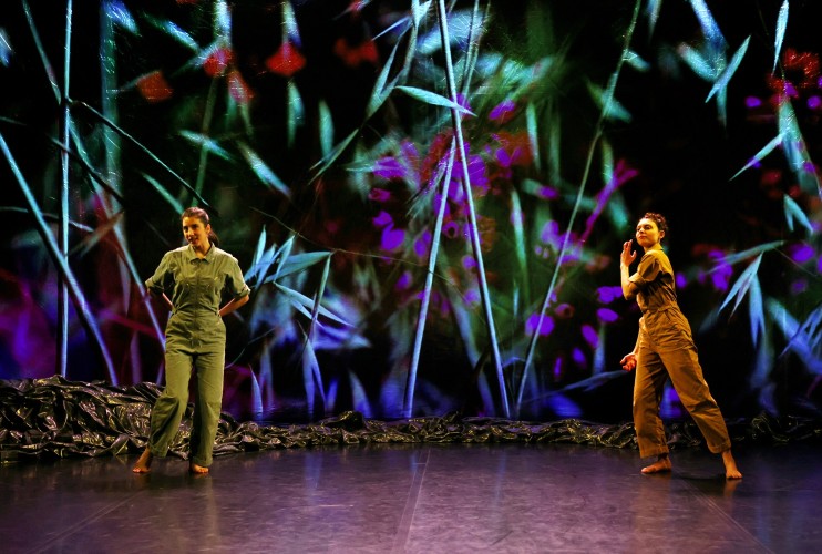 Le Chemin du wombat au nez poilu 